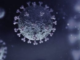 reinfecção pelo novo coronavírus - ilustração do vírus