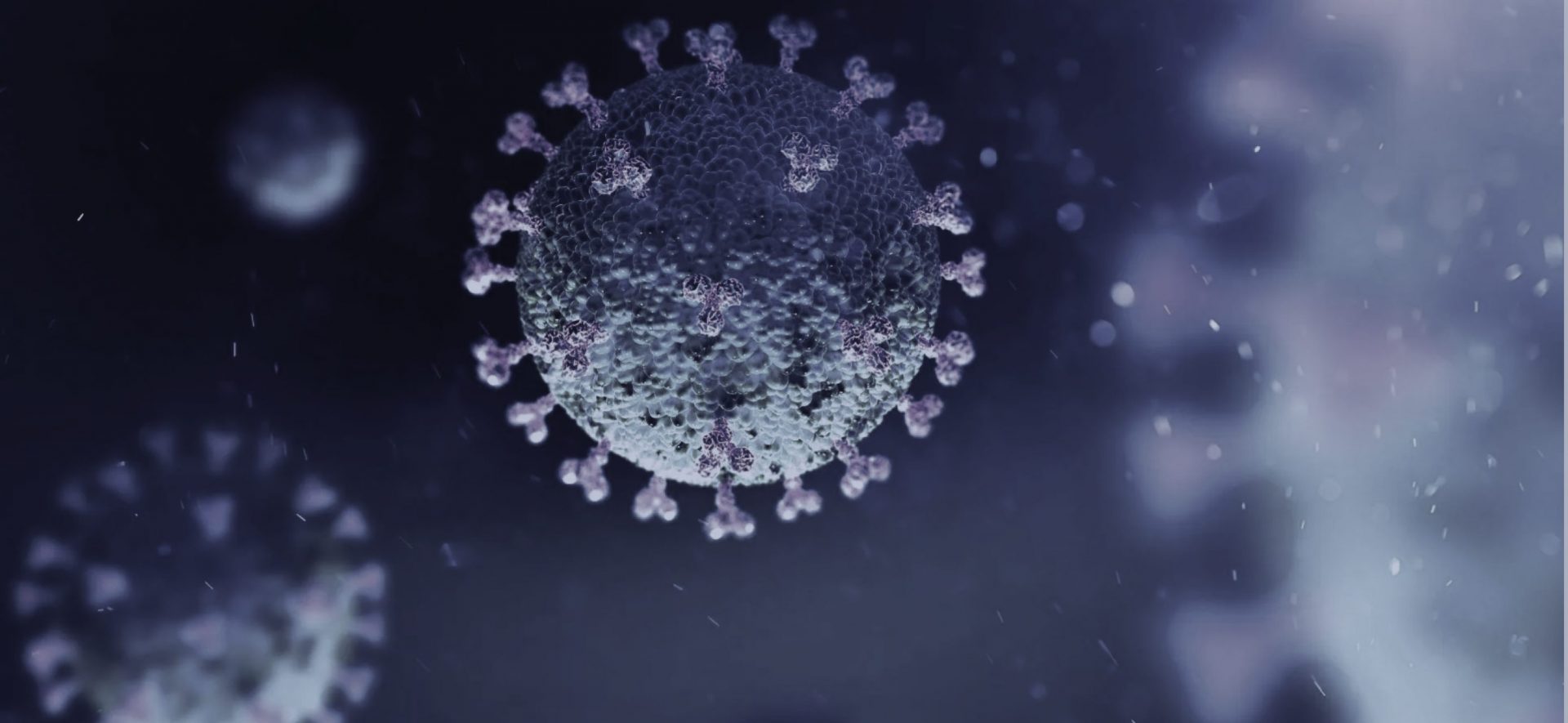 reinfecção pelo novo coronavírus - ilustração do vírus