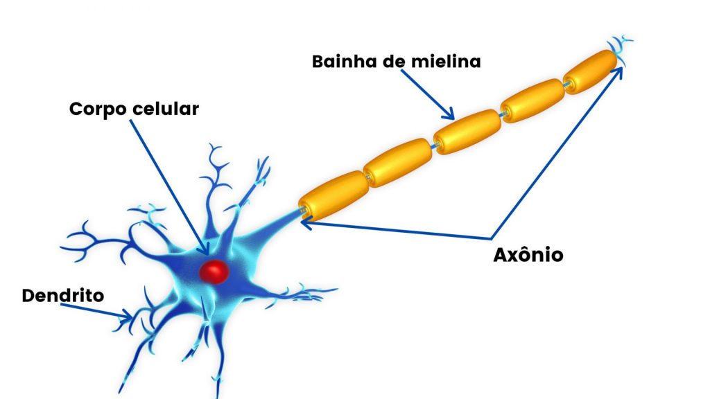 neurônio