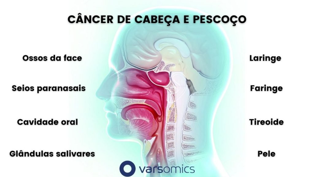  áreas de cancer de cabeça e pescoço