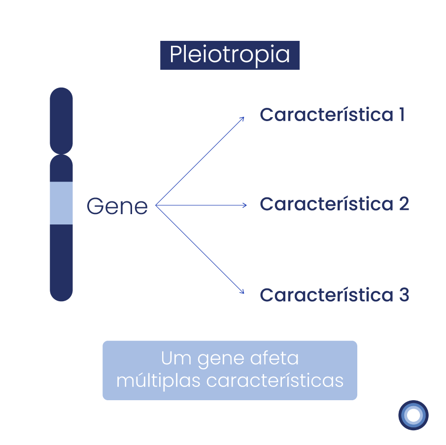 Pleiotropia - esquema de funcionamento