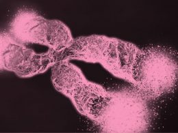 telômeros e envelhecimento - ilustração de cromossomo