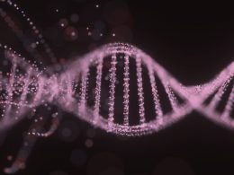 ilustração de DNA para exemplificar elementos transponíveis