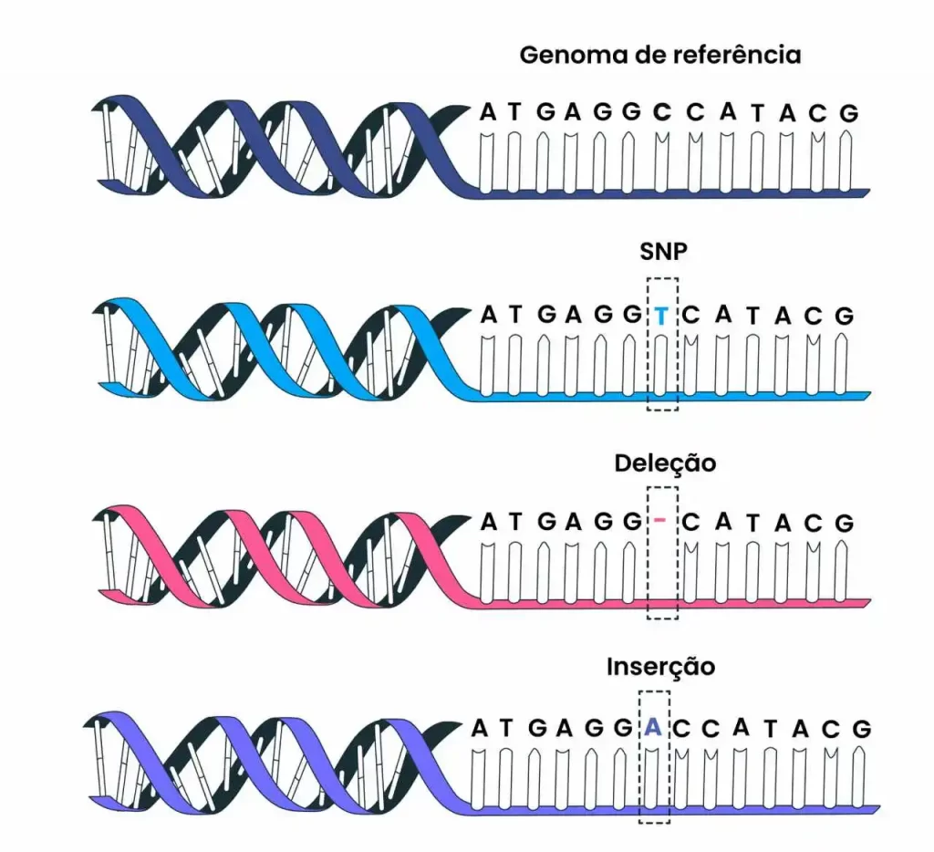Exemplo de alinhamento com mutações