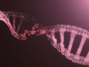 fragmento de DNA — polimorfismo