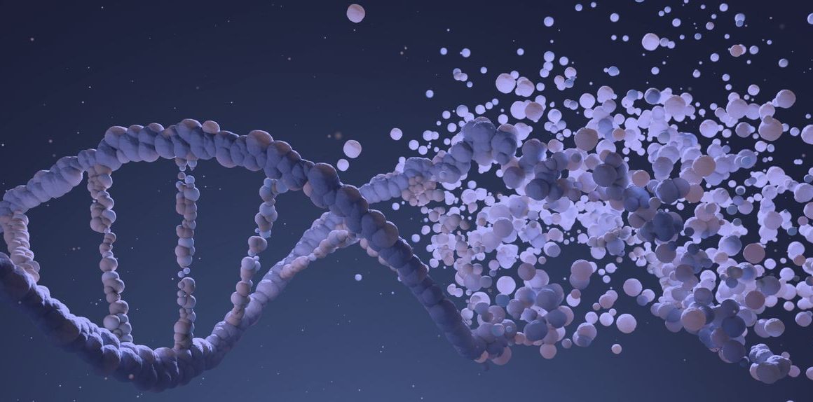 montagem de novo genoma