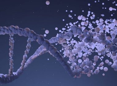 montagem de novo genoma
