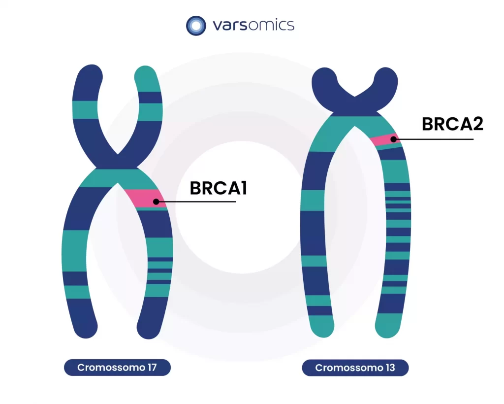 BRCA 1 e BRCA 2