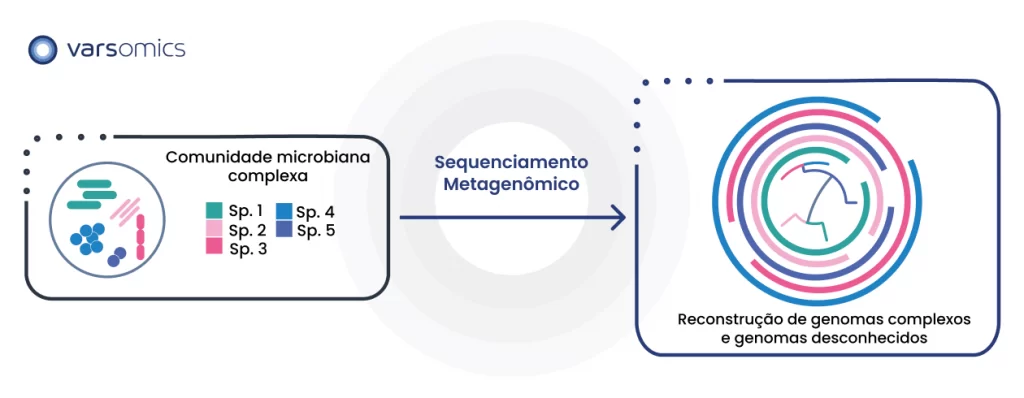O sequenciamento metagenômico permite que a reconstrução de diversos genomas de uma comunidade microbiana complexa como Legionella
