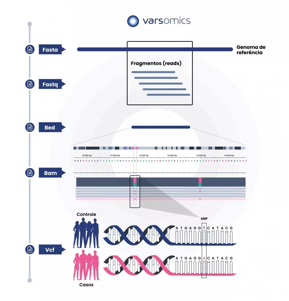 Representação dos arquivos de sequenciamento em diversas etapas da análise genômica